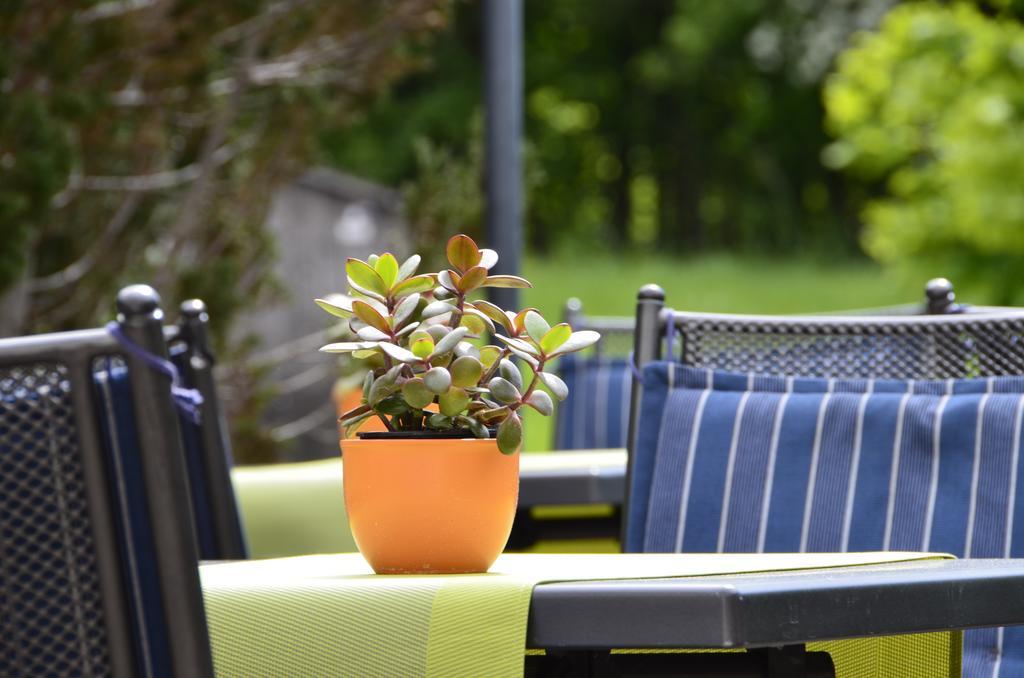 Hotel Gasthof Am Forsthof Edelsfeld Bagian luar foto